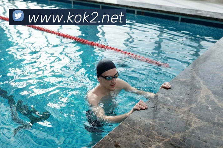 kok中国官网平台生态图